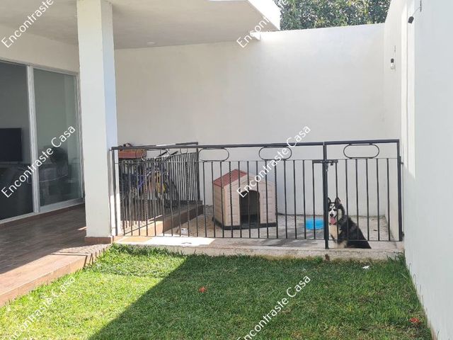 place photo 38