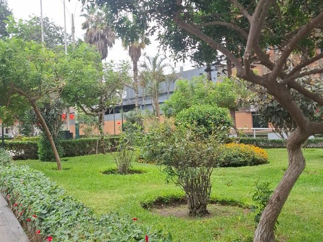 place photo 85