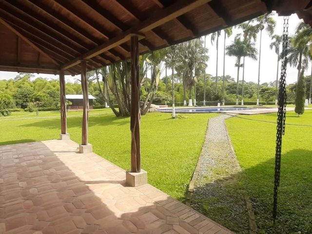 place photo 68