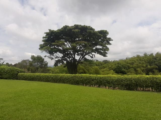 place photo 65