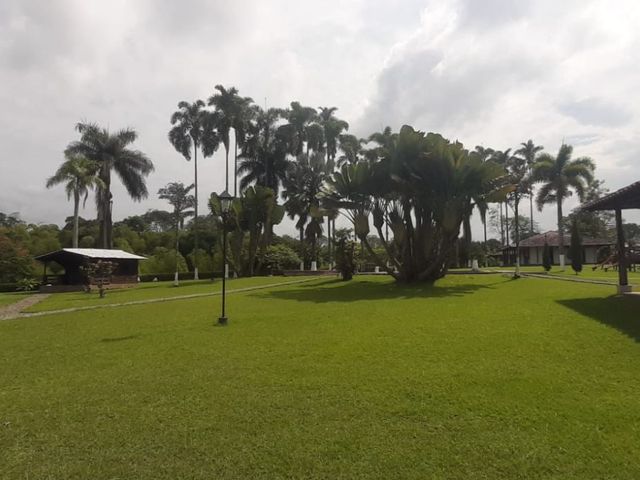 place photo 45
