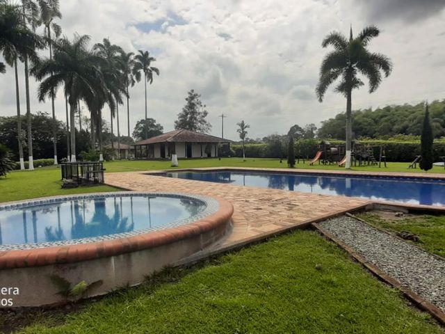 place photo 87