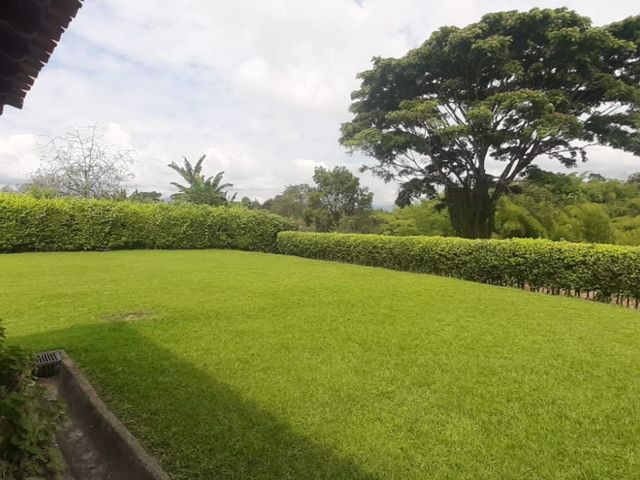 place photo 56