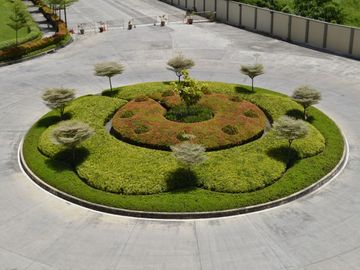 place photo 15