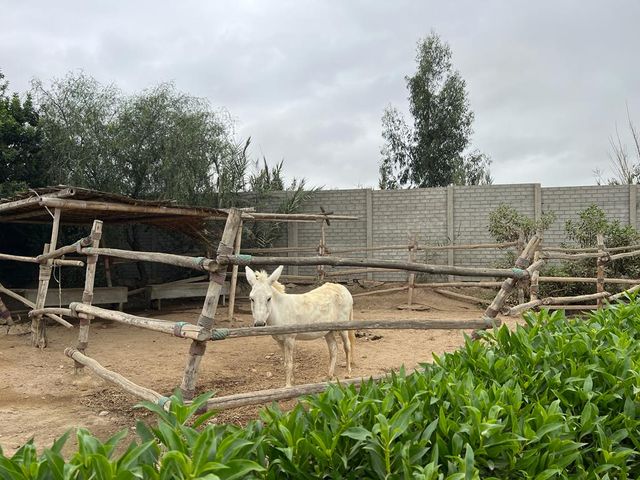 place photo 41