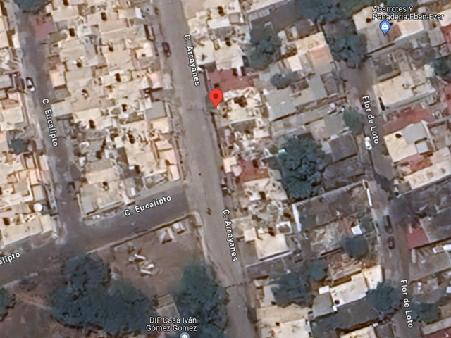 place photo 11