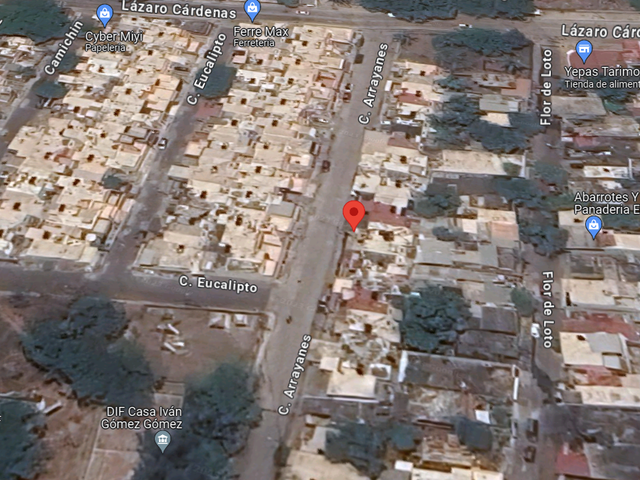 place photo 9