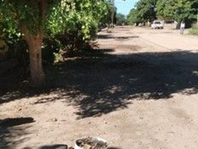 place photo 15