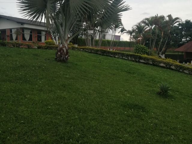 place photo 56