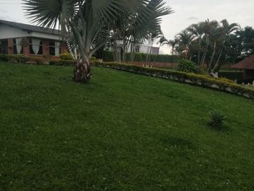 place photo 56