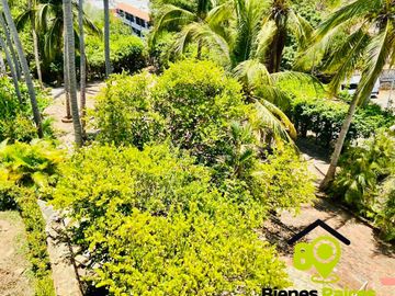 place photo 18