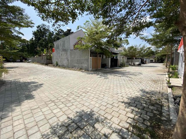 place photo 11