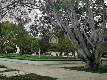 place photo 29