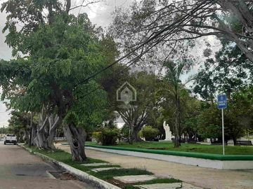 place photo 30
