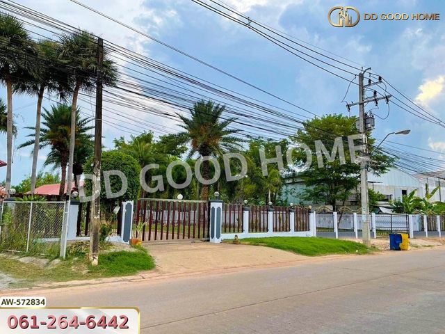 place photo 11