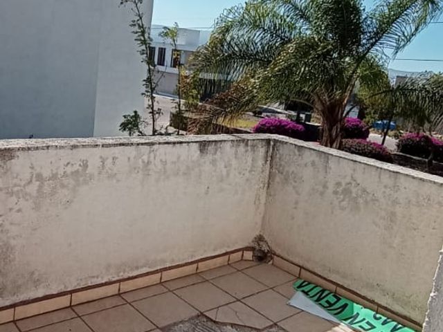 place photo 40