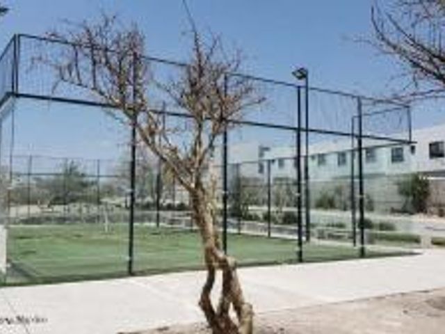 place photo 35
