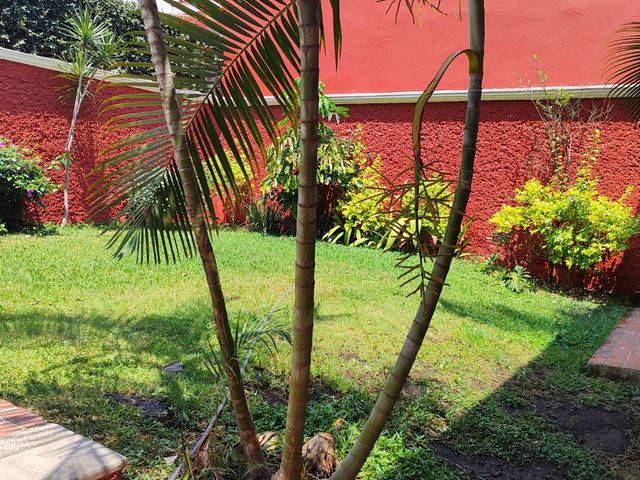 place photo 84