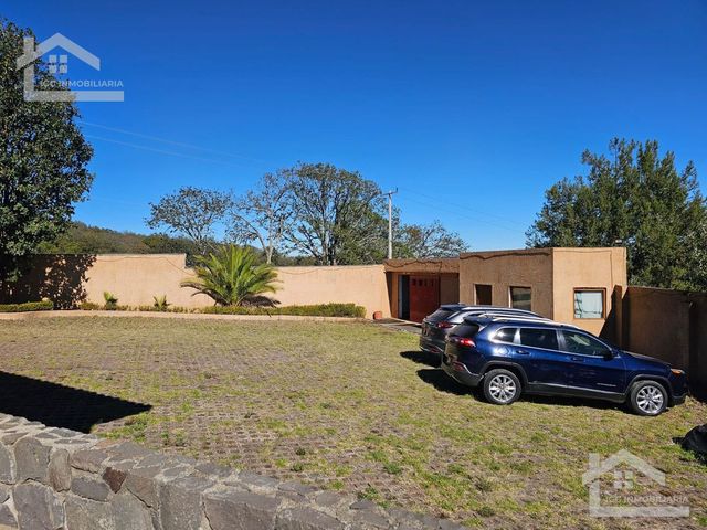 place photo 48