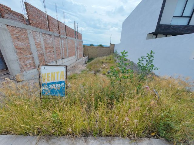 place photo 37