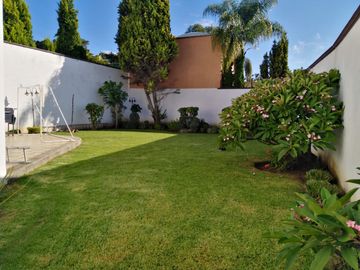place photo 33