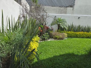 place photo 24