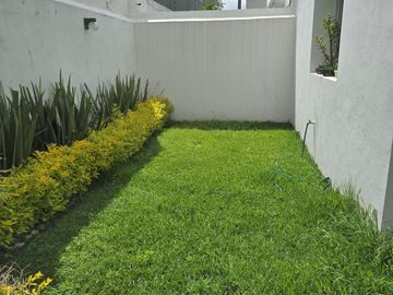 place photo 25