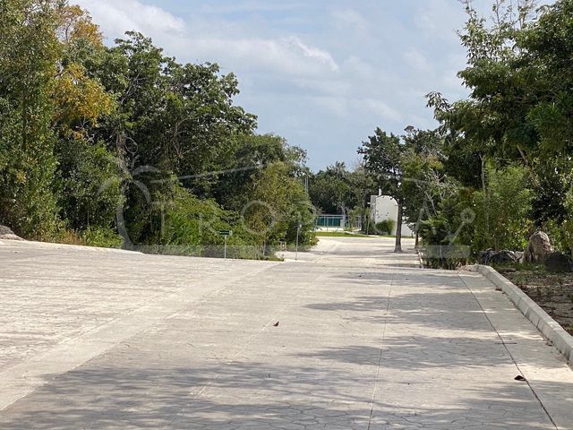 place photo 18