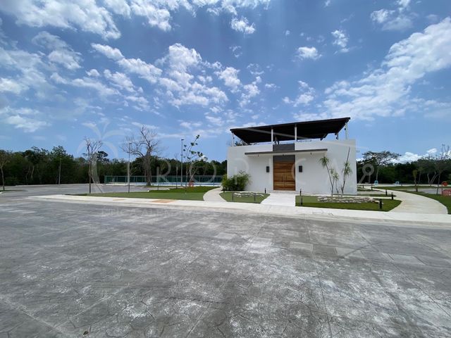 place photo 24