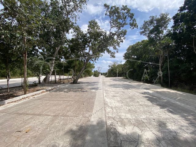 place photo 16