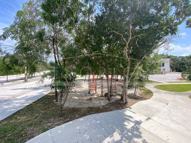 place photo 41
