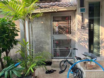 place photo 29