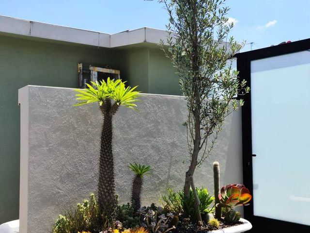 place photo 43