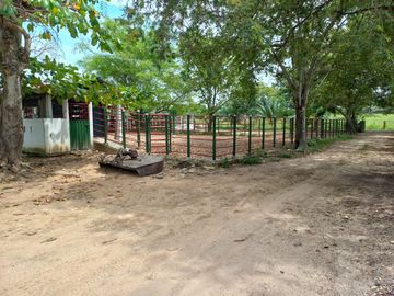 place photo 22