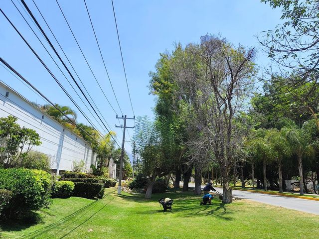 place photo 30