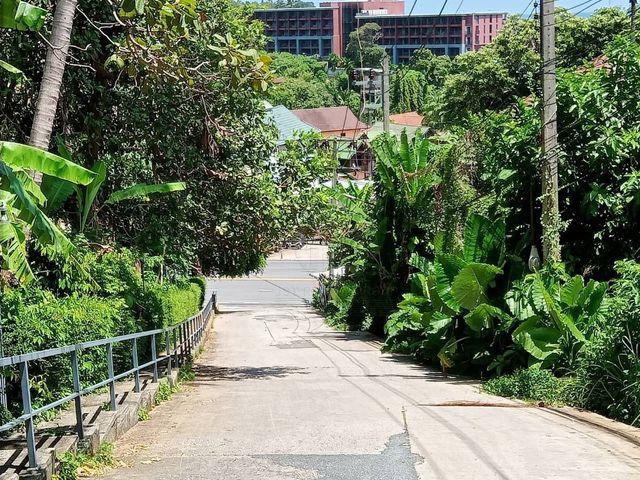 place photo 15