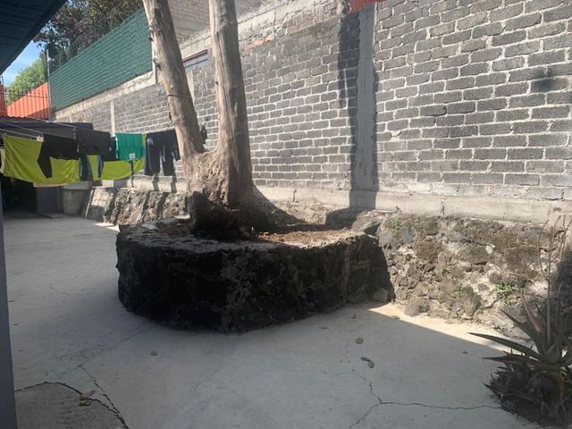 place photo 25