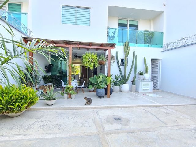 place photo 31