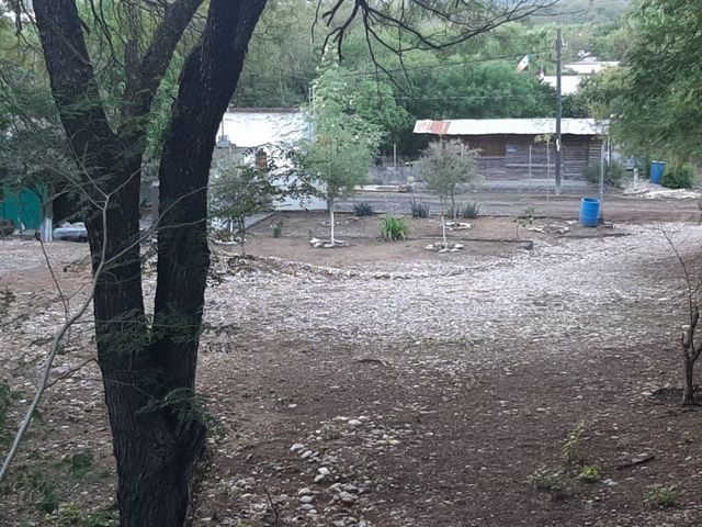 place photo 31