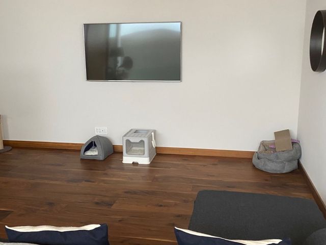place photo 54