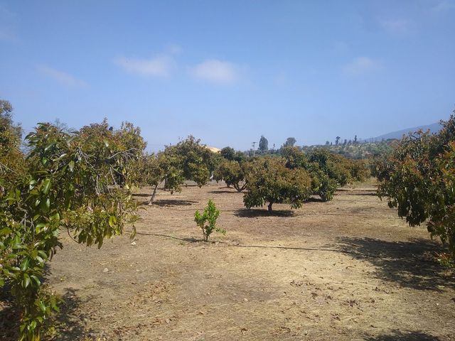 place photo 18