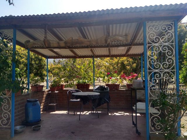 place photo 19