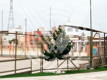 place photo 45