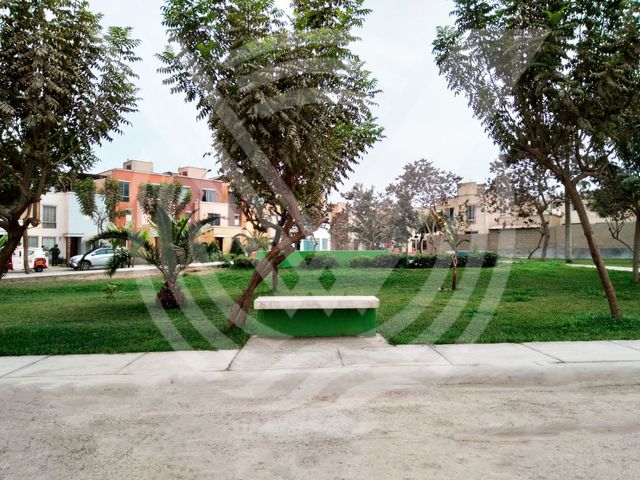 place photo 53