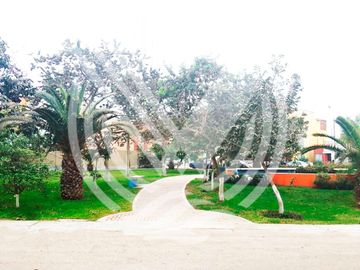 place photo 49