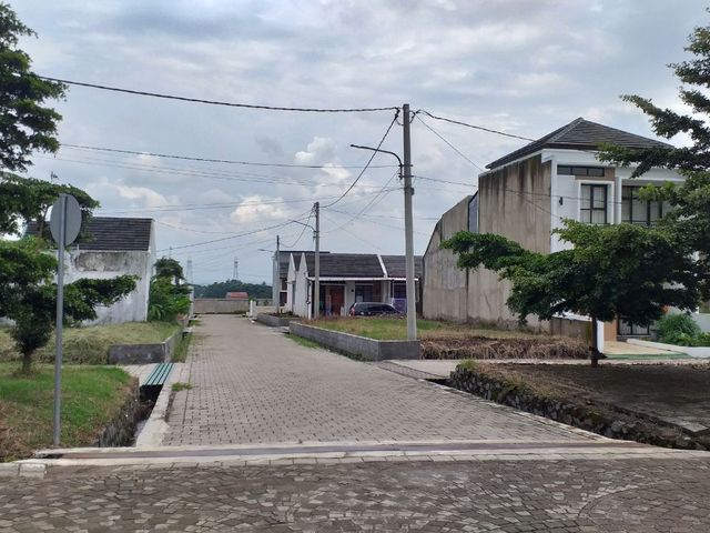 place photo 23