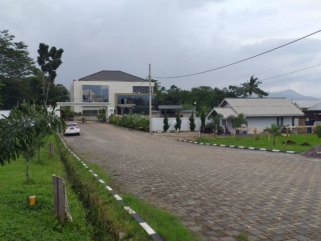 place photo 26