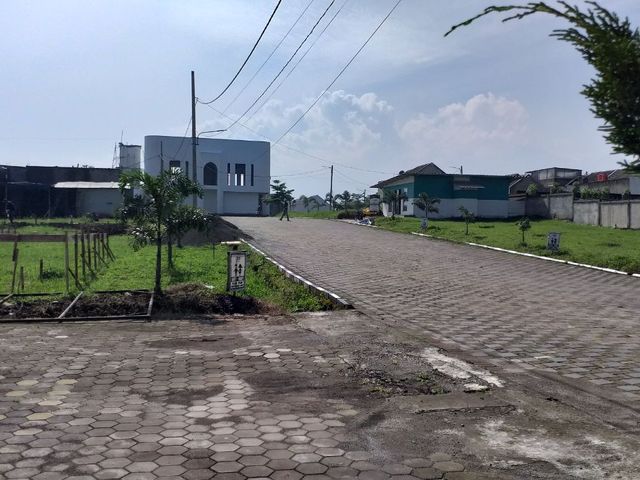 place photo 16