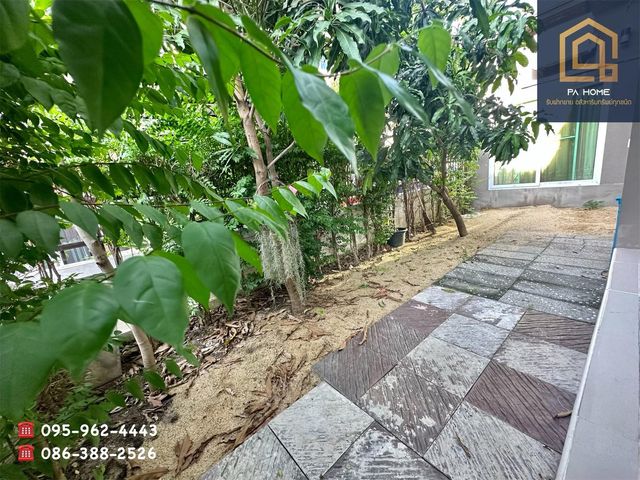 place photo 34