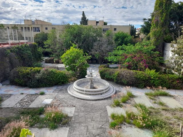 place photo 31